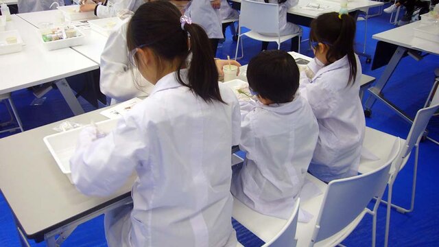 実験に夢中な小さな科学者