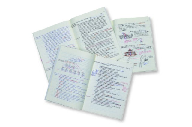 フィールドノート