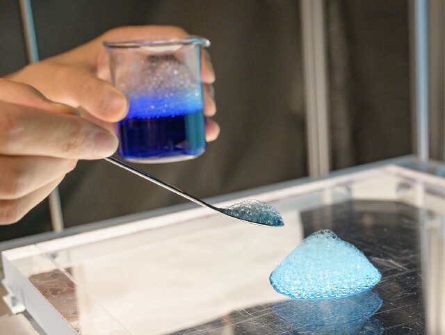 実験・観察・検証の様子