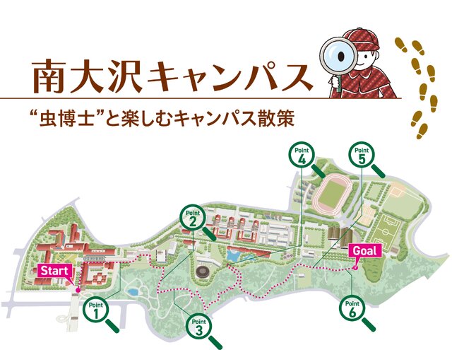 南大沢キャンパス　“虫博士”と楽しむキャンパス散策
