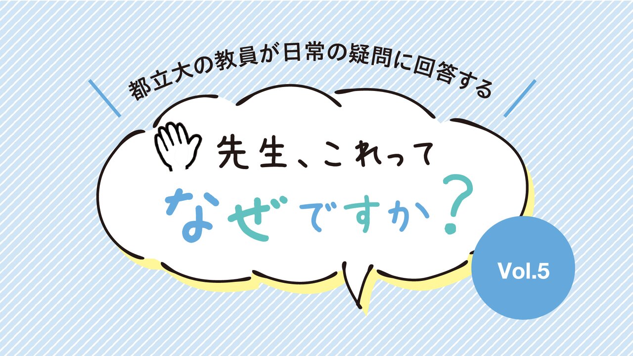 チコちゃんに叱られないように「山ってなに？」を詳しく教えてください