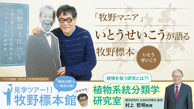 メトロノワ】「牧野マニア」いとうせいこうが語る牧野標本 - 東京都立