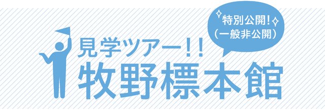 見学ツアー！！牧野標本館