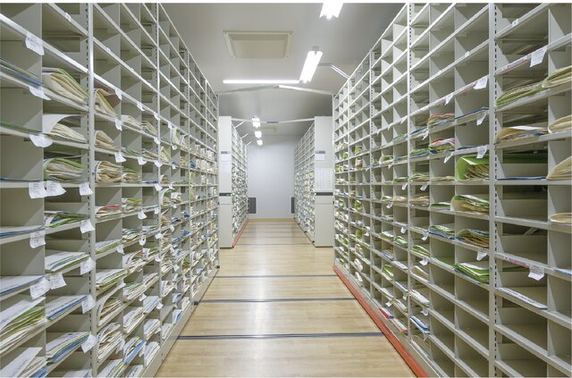 牧野標本館 別館 標本庫内