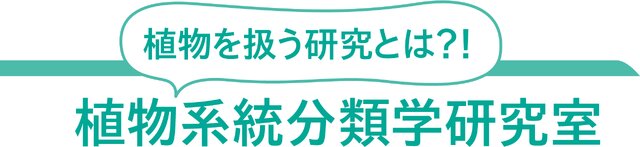 植物系統分類学研究室