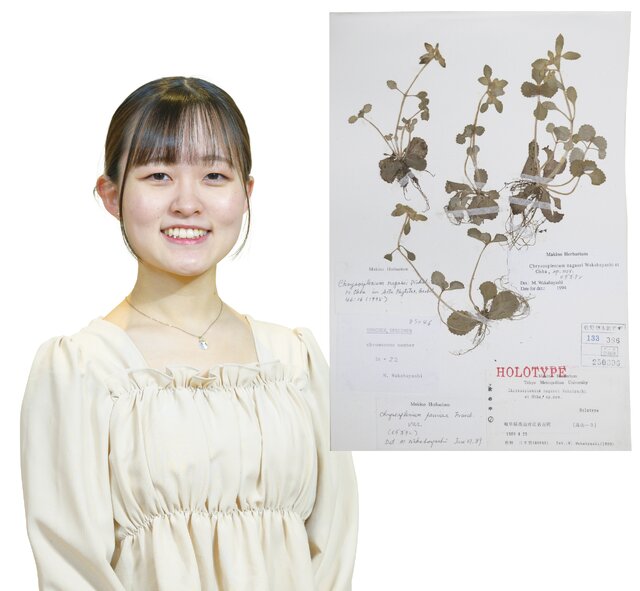 大型低速風洞実験施設