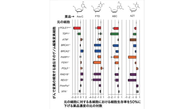タックルでの衝撃の大きさや頸部への影響を研究